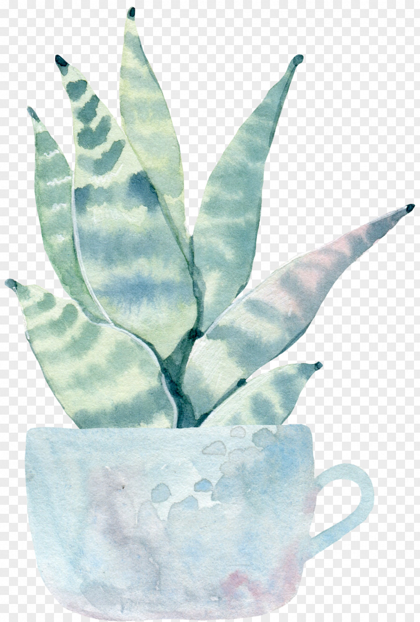 Water Color Flower, Green Plant Cactus Saguaro Cactaceae Watercolor Painting Royalty-free Illustration PNG