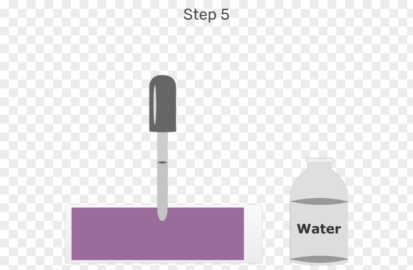 Water Stain Wright's Blood Film Staining PNG