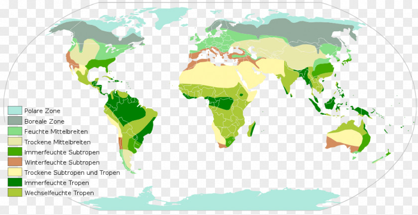 World Map Biogeographic Realm PNG