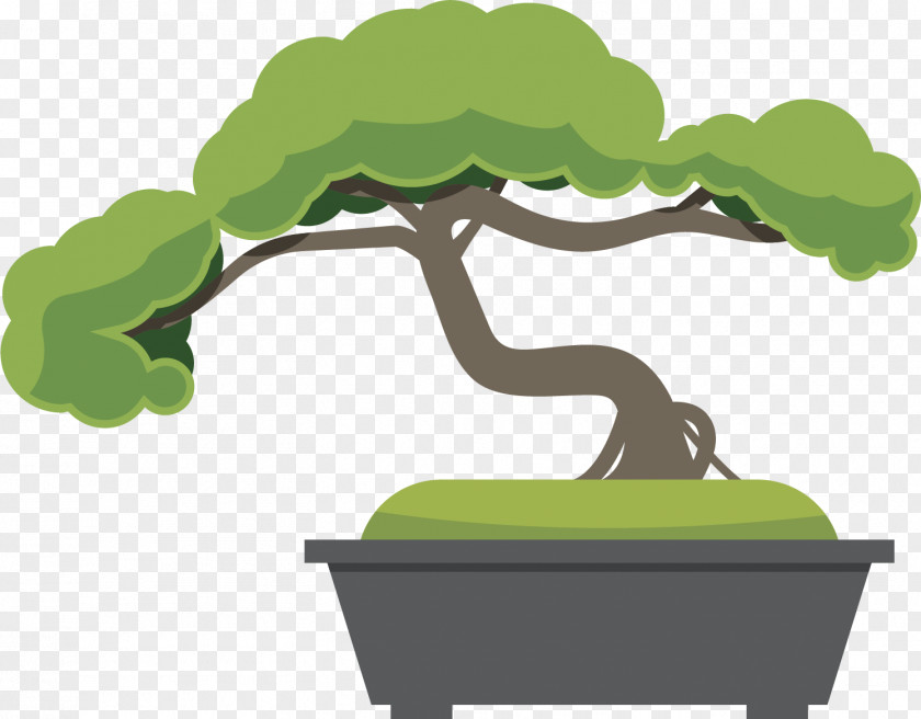 Accuarella Icon Bonsai Vector Graphics Tree Flowerpot Penjing PNG