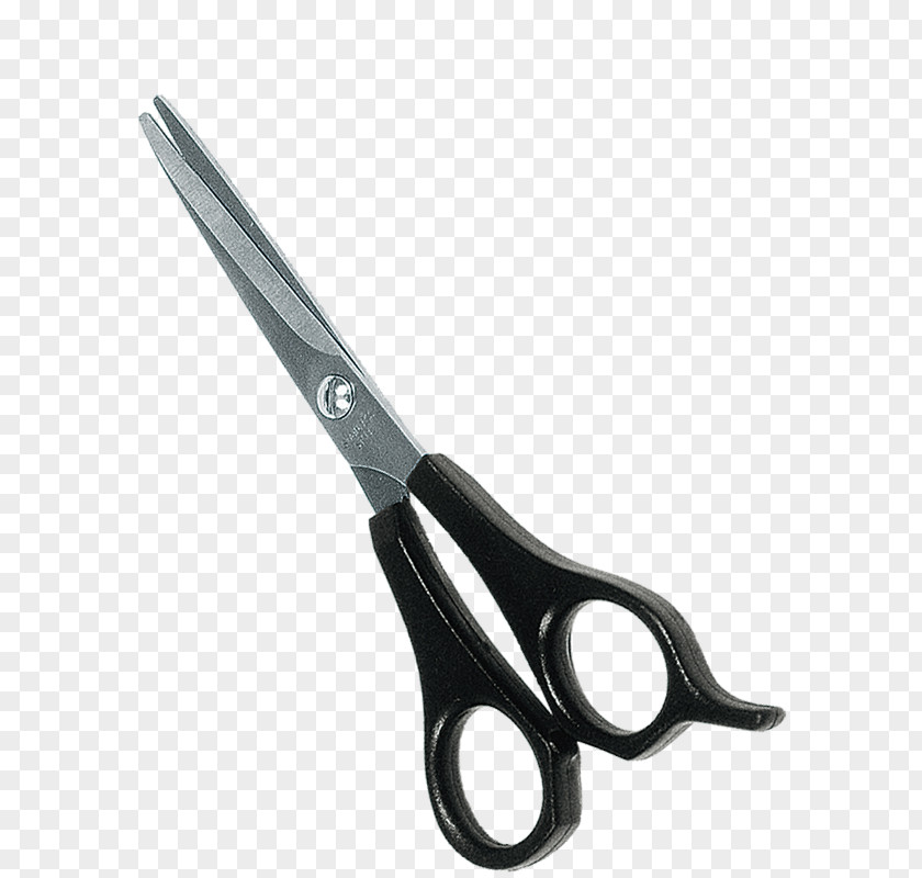 Cat Dog Personal Grooming Scissors Flea PNG