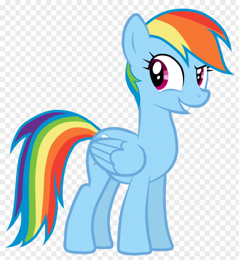 My Little Pony Rainbow Dash Pinkie Pie Applejack Rarity PNG