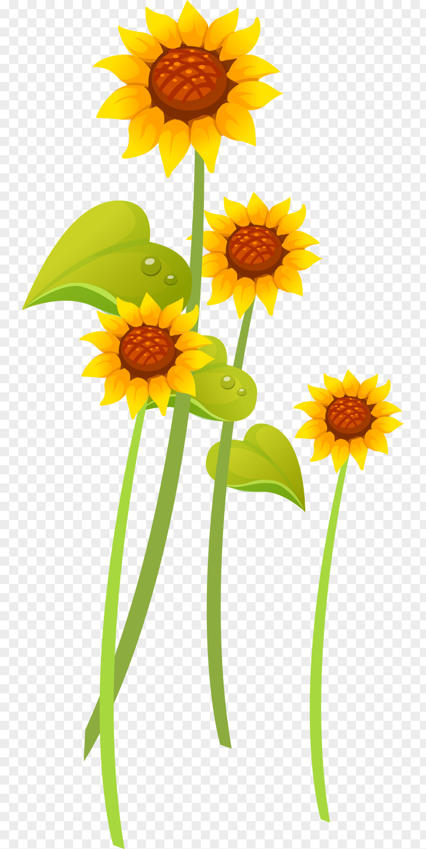 Yellow Sunflowers Common Sunflower PNG
