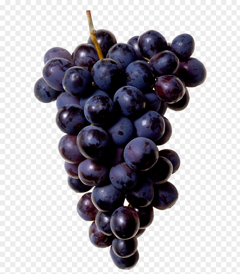 A Bunch Of Grapes Juice Common Grape Vine Concord PNG