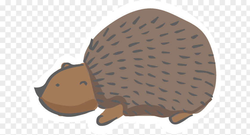 Animal Vector Hedgehog Euclidean Illustration PNG