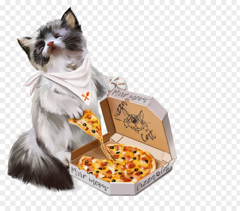 Cat Eating Pizza Kitten Dog PNG