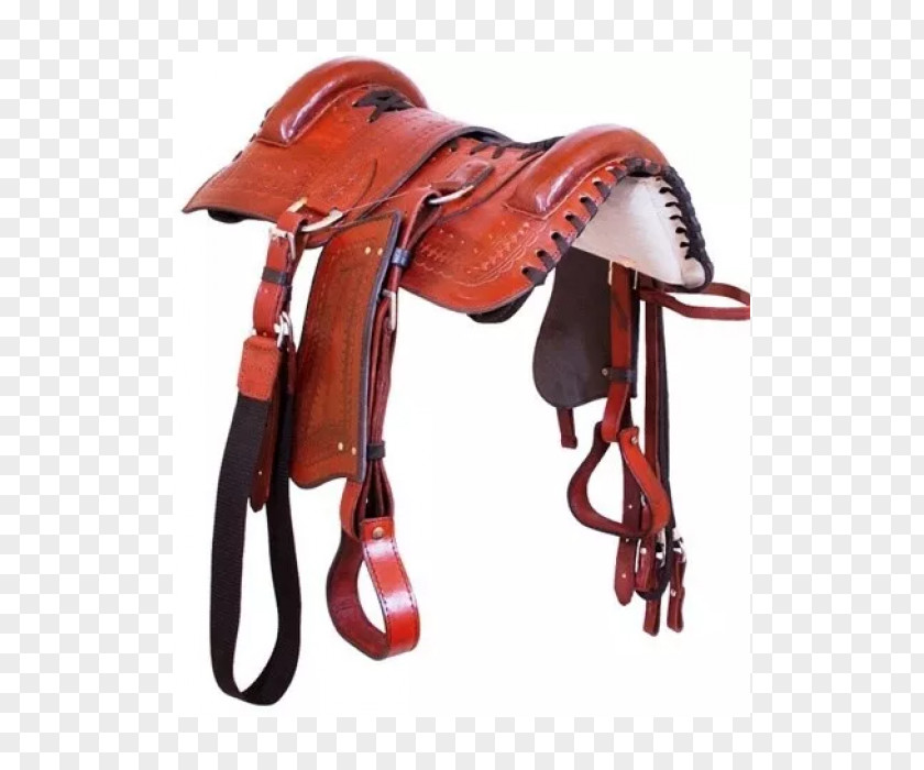 Cavalgada Crioulo Horse Harnesses Campeiro Saddle Brazil PNG