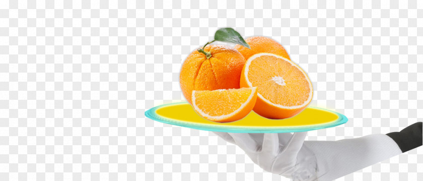 Delicious Melon Clementine Mandarin Orange Tangerine Food Peel PNG