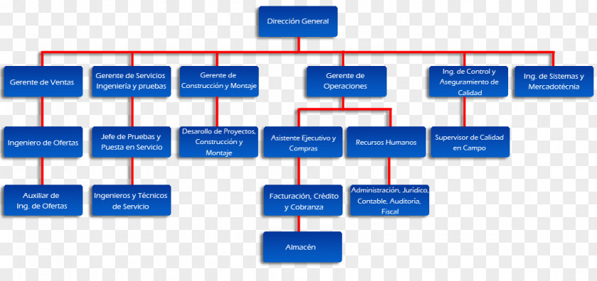 Skills Organizational Chart Empresa Structure Company PNG