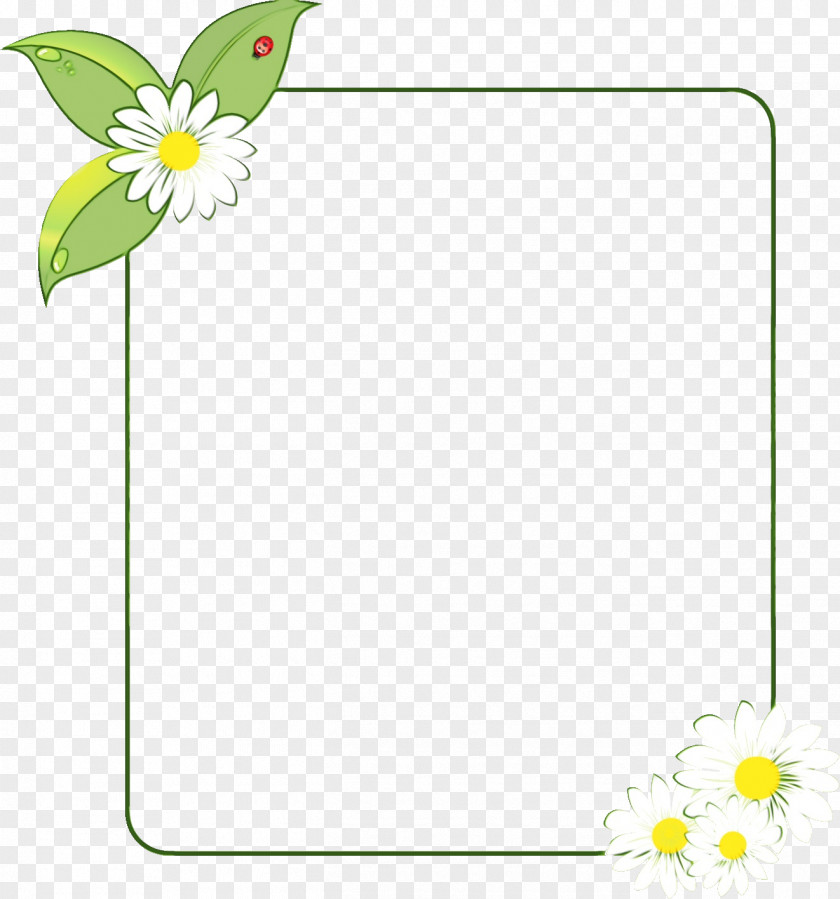Wildflower Plant Background Flowers Frame PNG