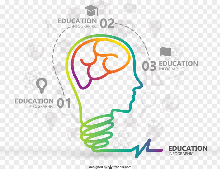 Analysis Of The Brain Infographic Education Template PNG