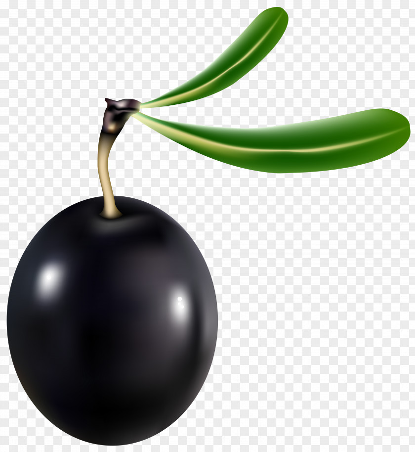 Black Olive Transparent Clip Art Image United States Teth PNG