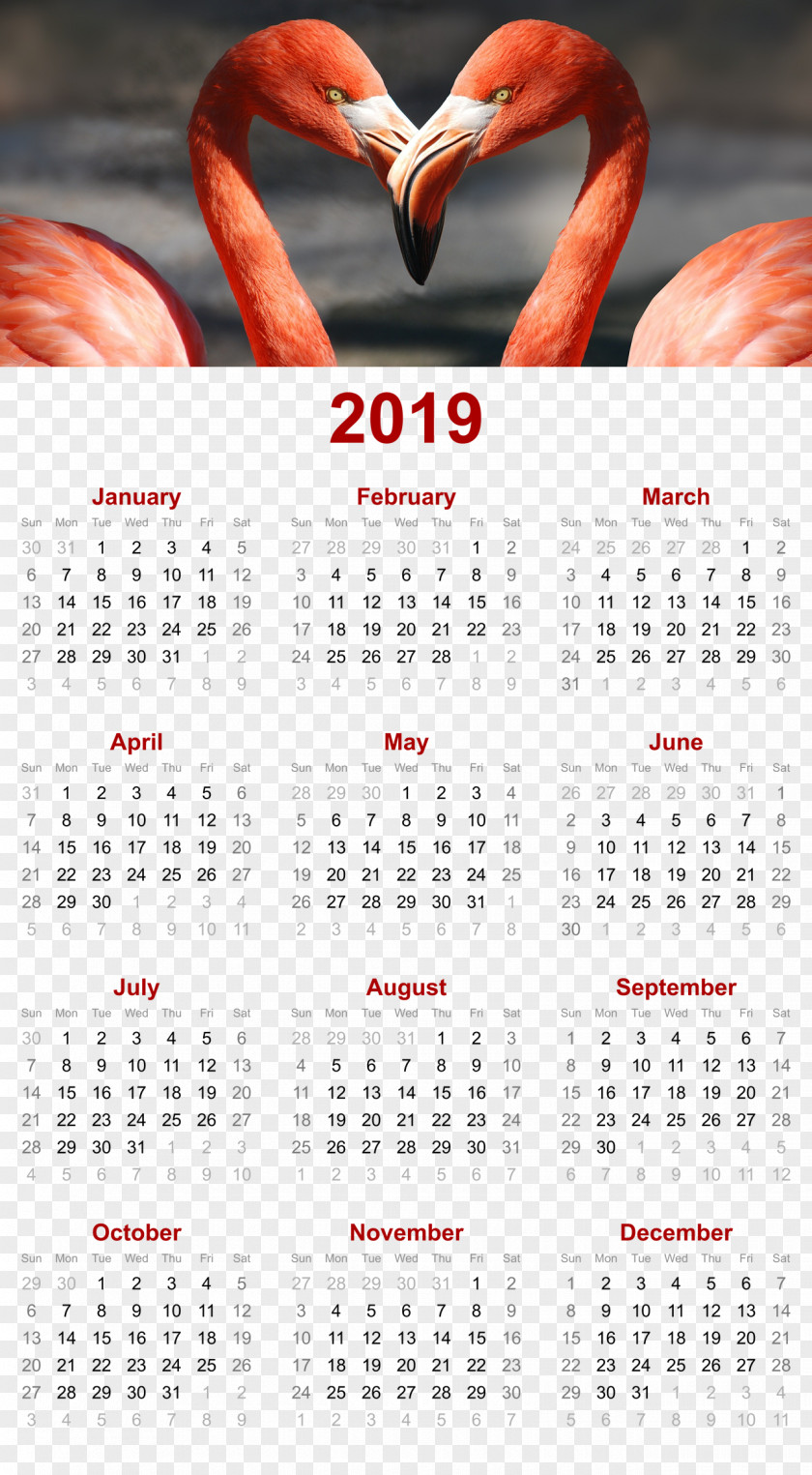 Flamingo Romantic DesignOthers 2019 Printable Calendar PNG
