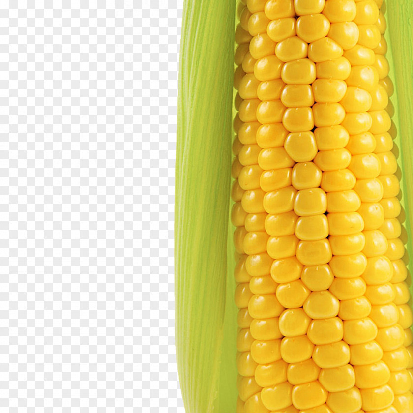 Golden Corn Popcorn On The Cob Magic Maize Stock Photography PNG