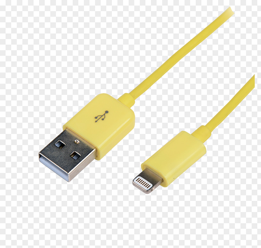 Lightning IPhone 5 4 USB Electronics PNG