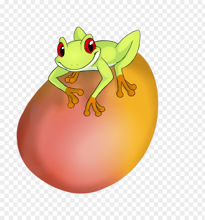 Manggo True Frog Amphibian Art Animal PNG