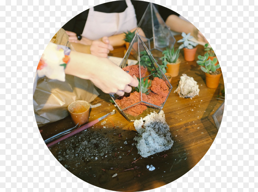 Plants Casa Romantica Cultural Center And Gardens Wellness: Summer Terrarium Workshop BYOB Making PNG