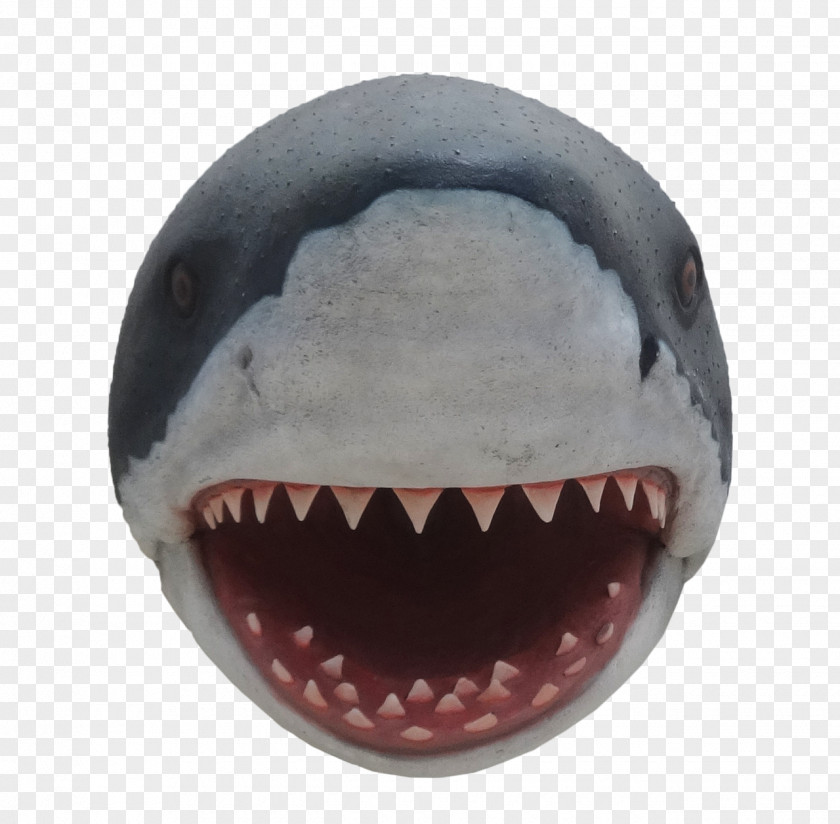 Shark Statue Great White Fish Chicken PNG