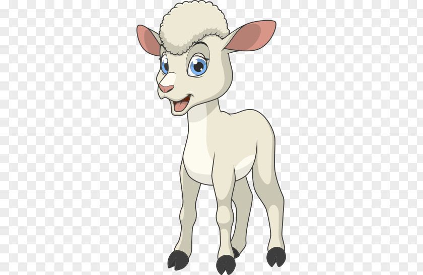 Sheep Goat Cattle Clip Art PNG