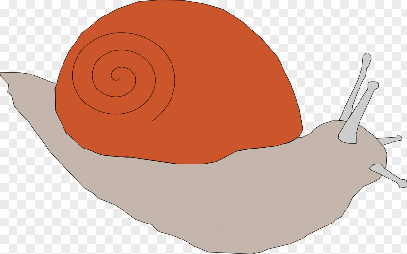 Snails Snail Clip Art PNG