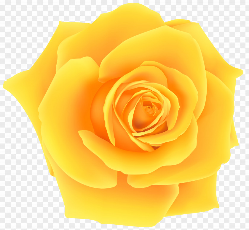 Yellow Rose Clip Art Image PNG
