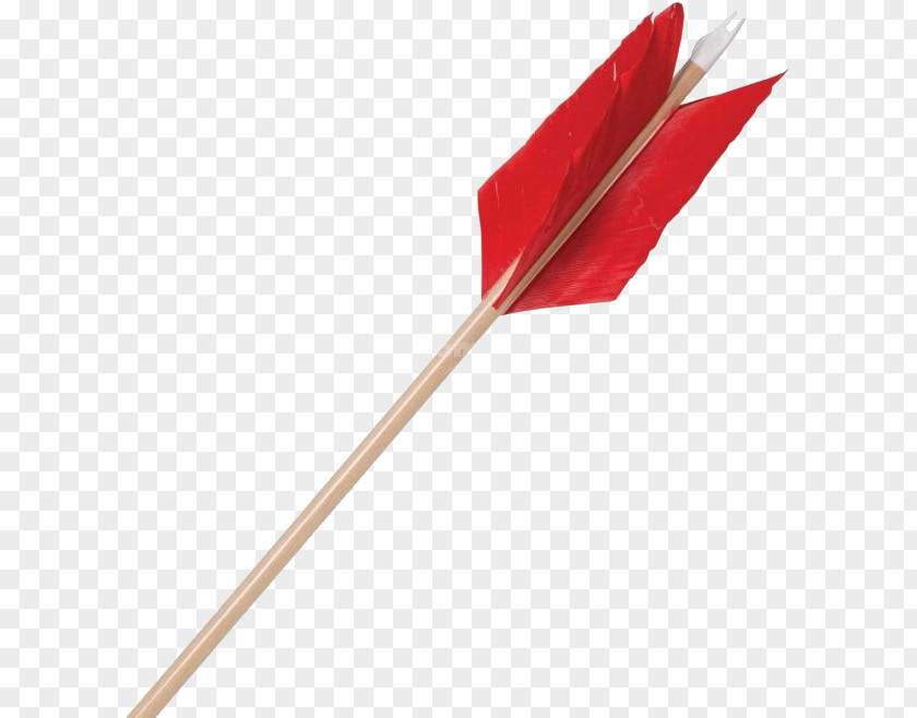 Arrow Bow And Clip Art PNG