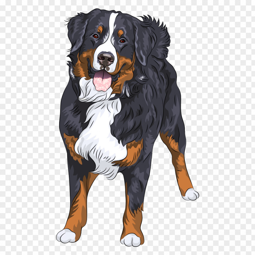 Black Pug The Bernese Mountain Dog Puppy Breed PNG