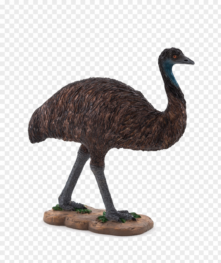 Cheetah Common Ostrich Emu Stoat Bird PNG