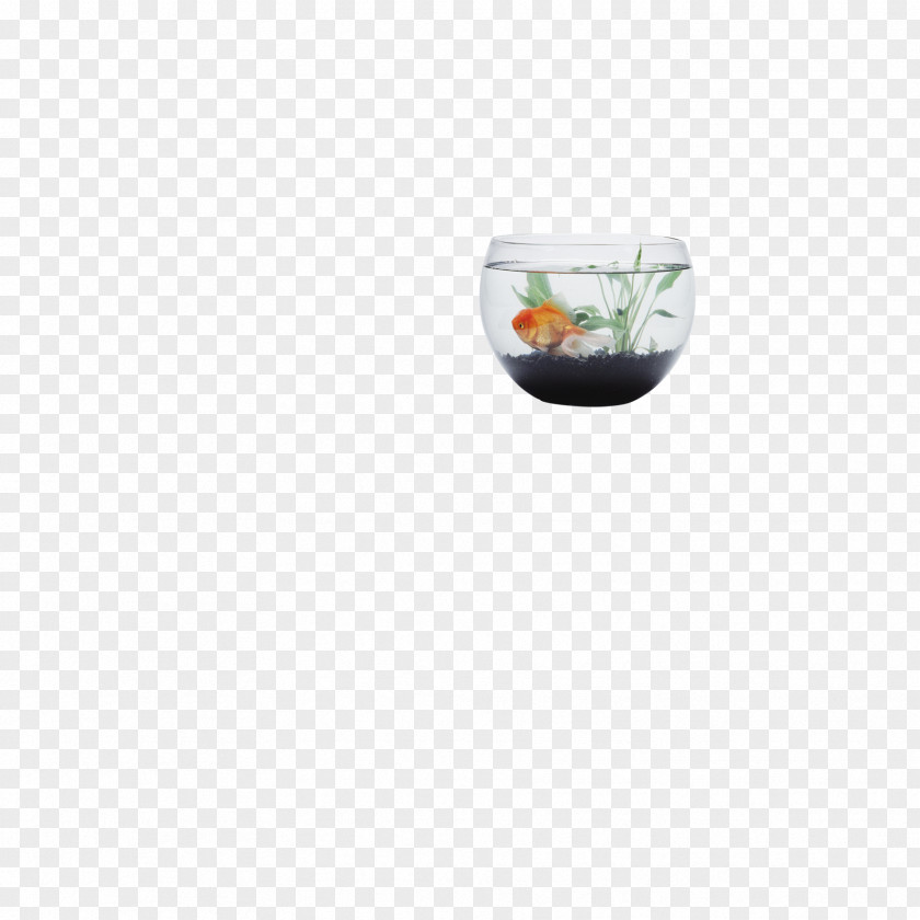 Fish Tank Aquarium Fishkeeping PNG