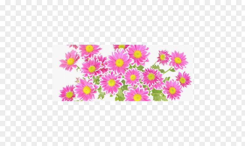 Flower Bouquet Photography Petal PNG