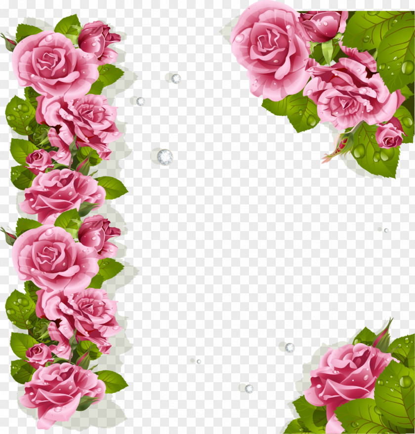 Flower Garden Roses Floral Design Cabbage Rose Cut Flowers PNG