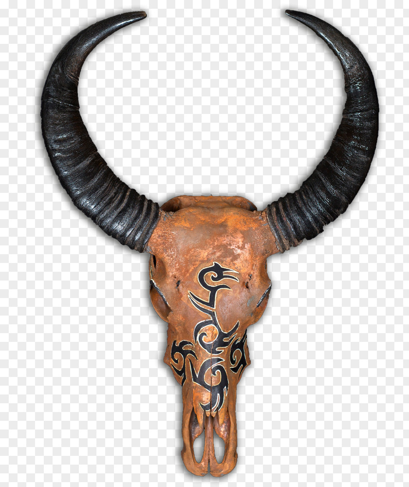 Skull Cattle Horn Artist Animal PNG