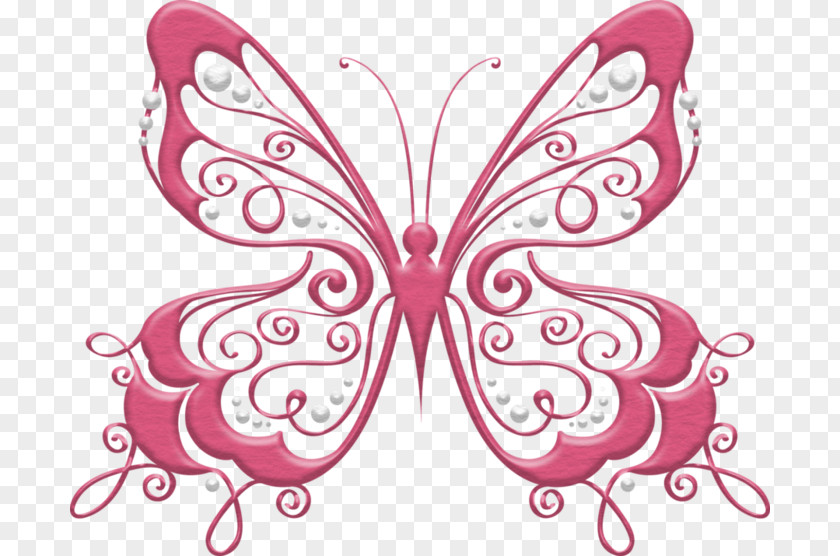 Butterfly Clip Art Drawing Image Silhouette PNG