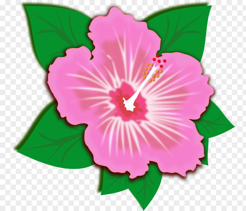 Flower Clipart Download Clip Art PNG