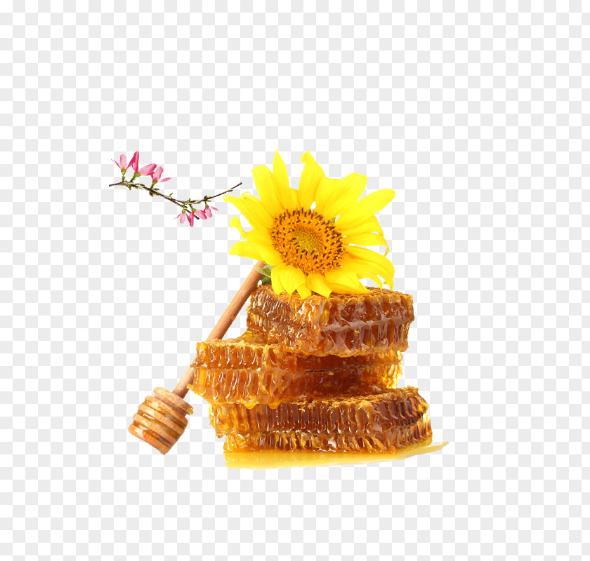 HD Sunflower Honey Material Bee Comb PNG