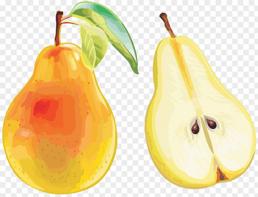 Pear Accessory Fruit Food PNG