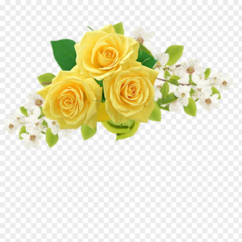 Rose Clip Art Desktop Wallpaper Flower PNG