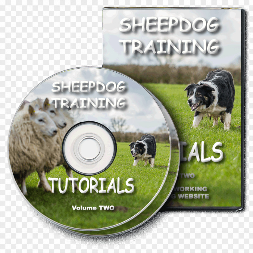 Sheep Australian Cattle Dog Old English Sheepdog Shetland Stumpy Tail PNG