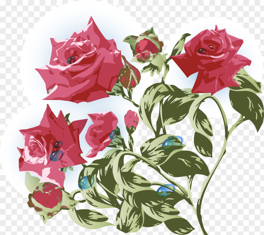 Vector Hand-painted Vintage Roses Garden Beach Rose Centifolia Flower PNG