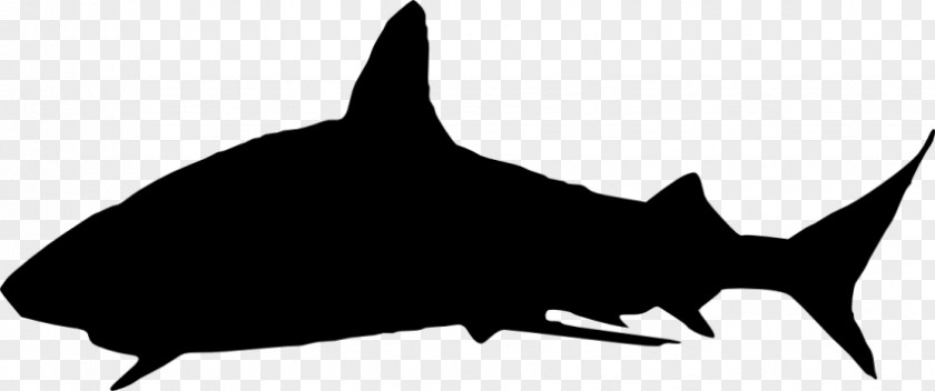 Baby Shark Free Great White Silhouette Clip Art PNG
