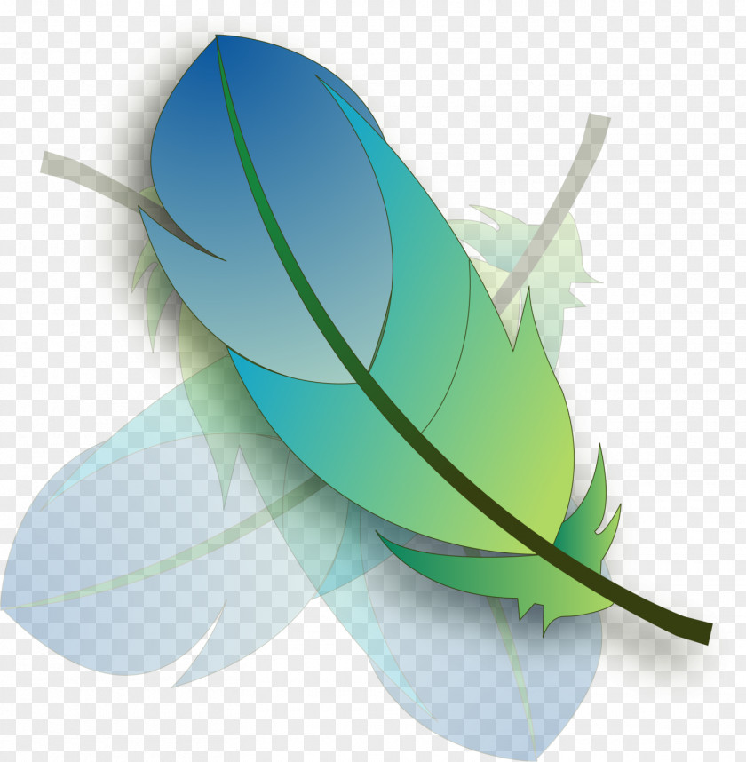 Feather Logo Mockup PNG