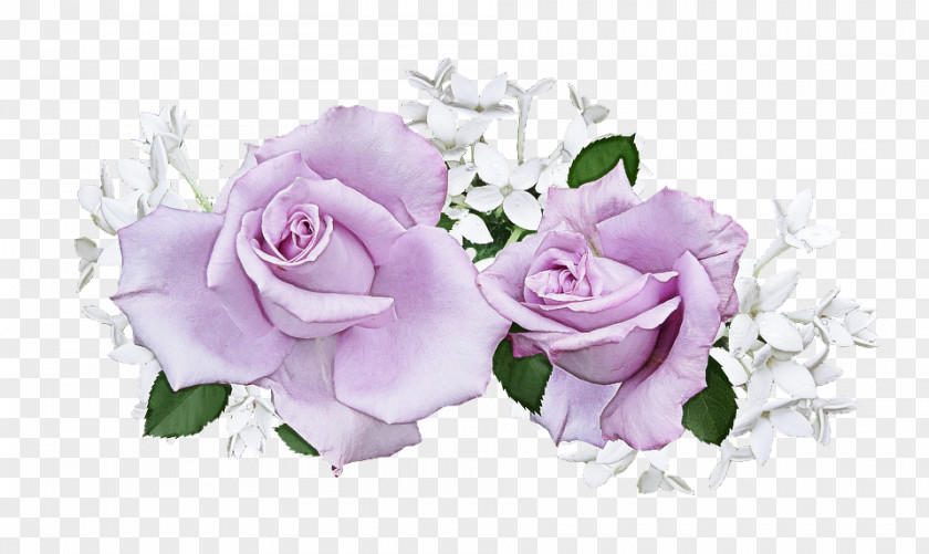 Garden Roses PNG