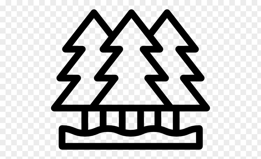 Pine Vector PNG