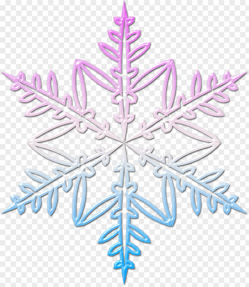 Snowflakes Snowflake Symmetry Leaf Pattern PNG