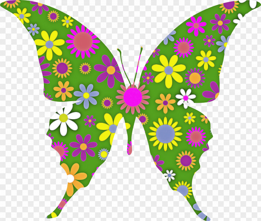 Butterfly Moths And Butterflies Insect Symmetry Pollinator PNG