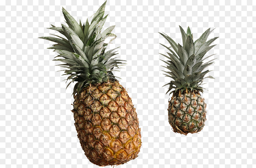 Food Natural Foods Pineapple PNG