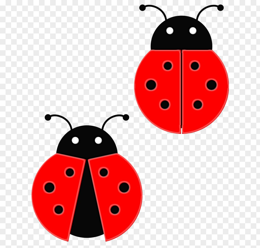 Ladybug Beetle PNG