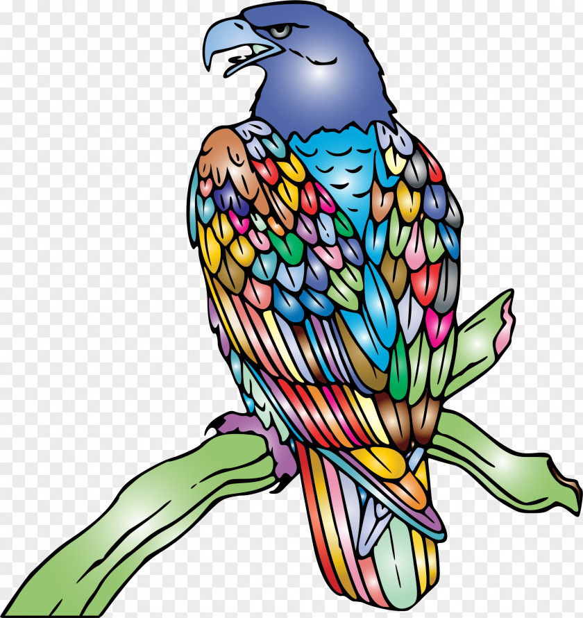 American Eagle Clip Art Clipart Image Bald Illustration Line PNG