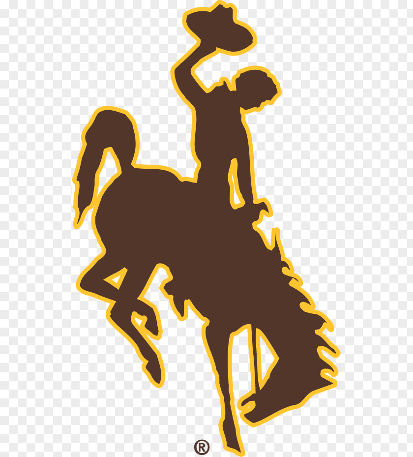 Basketball Wyoming Cowboys Football Cowgirls Women's Dallas University Of Wyoming: Store Division I (NCAA) PNG