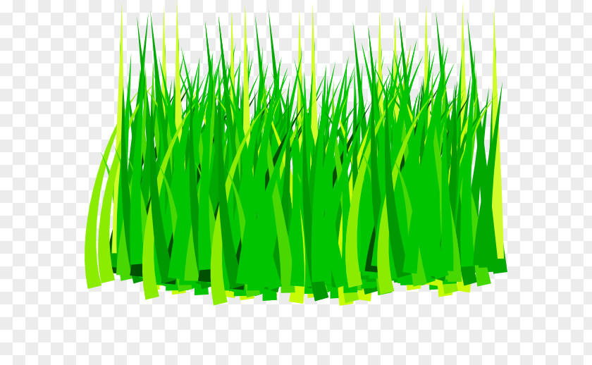 Free Grass Cliparts Clip Art PNG